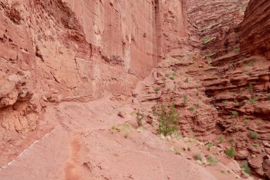 ABD 'nin Utah Moab kentindeki Fisher Towers patikası..