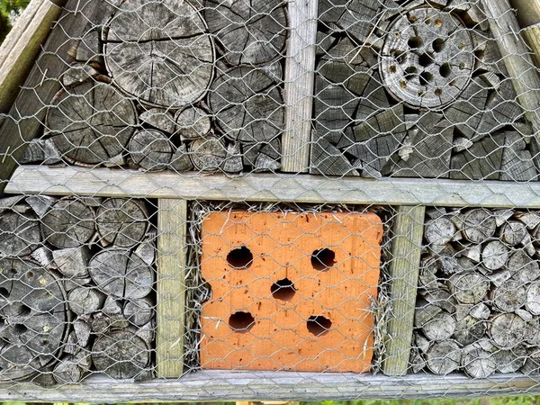Close Insect Hotel High Quality Photo — Photo