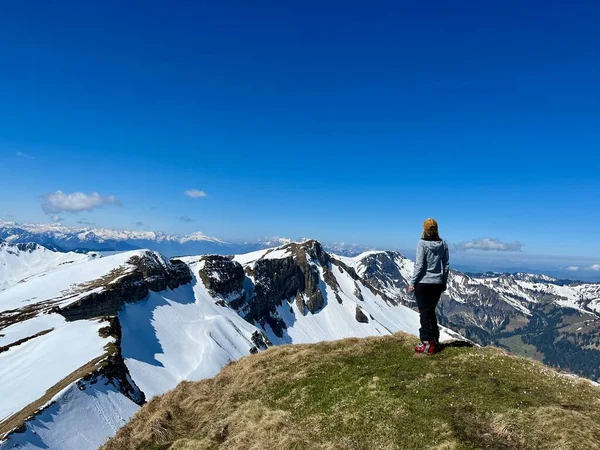 Γυναίκα Στέκεται Και Απολαμβάνει Καταπληκτική Θέα Χιονισμένες Αυστριακές Άλπεις Την — Φωτογραφία Αρχείου