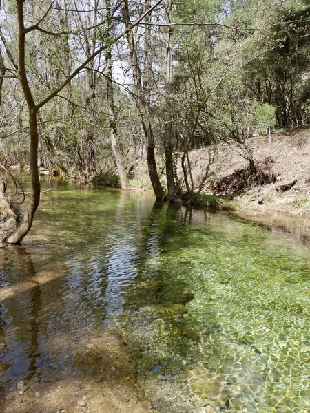 Изумрудно Зеленая Вода Источника Осо Природном Парке Лос Каларес Дель — стоковое фото