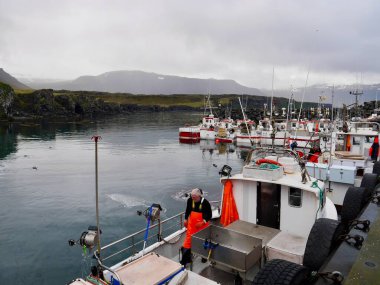 Arnarstapi, İzlanda 'nın panoramik manzarası, 26.05.2022. Yüksek kalite fotoğraf