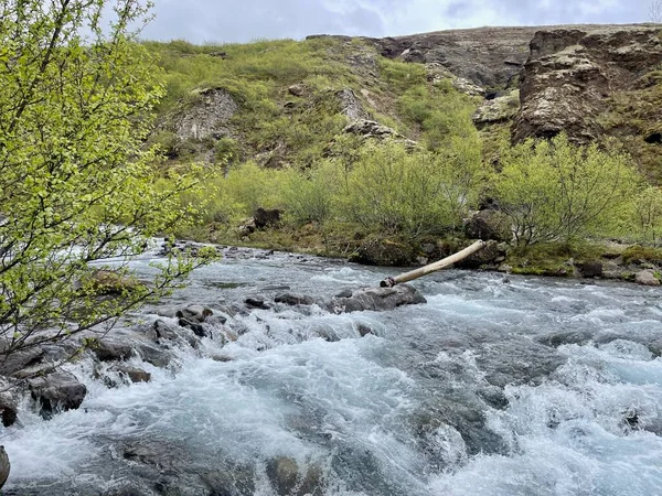 아이슬란드에서 번째로 폭포인 건너기 줄기를 고품질 — 스톡 사진
