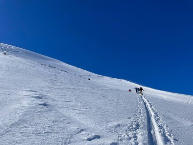 Avusturya Alplerinde kayak yapan bir grup insan. Bregenzerwald, Vorarlberg, Avusturya. Yüksek kalite fotoğraf