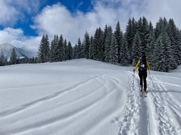 Passeio Esqui Nos Alpes Austríacos Bregenzerwald Vorarlberg Áustria Foto Alta — Fotografia de Stock