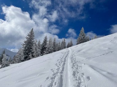 Avusturya Alpleri 'nin ılıman kış manzarası. Bregenzerwald, Vorarlberg. Yüksek kalite fotoğraf