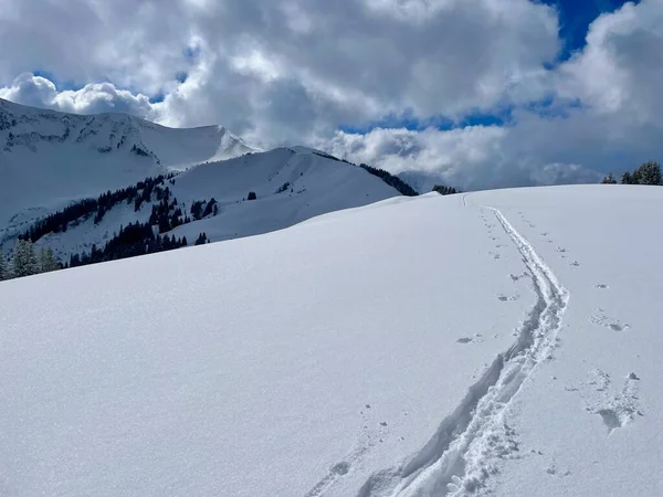 Avusturya Alpleri 'ndeki cennet gibi kış manzaralarında kayak izleri. Bregenzerwald, Vorarlberg. Yüksek kalite fotoğraf