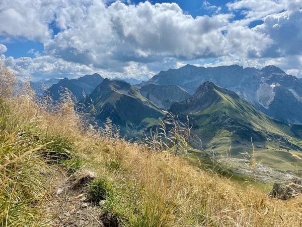 Caminho Que Conduz Hochkuenzelspitze Brgenzerwald Vorarlberg Áustria Foto Alta Qualidade — Fotografia de Stock