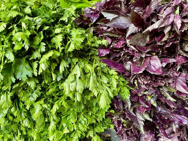 Close up of purple basil and parsley on sale at local farmers market. . High quality photo