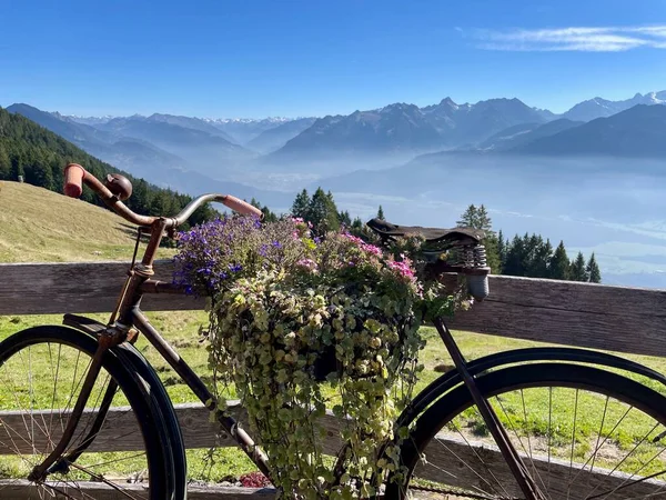 Bicicleta Vintage Decorativa Com Flores Coloridas Nos Alpes Austríacos Foto — Fotografia de Stock
