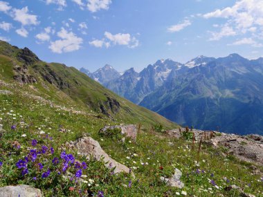 Gürcistan 'ın Upper Svaneti kentindeki Mestia yakınlarındaki Büyük Kafkasya dağlarındaki çayırlarda. Yüksek kalite fotoğraf