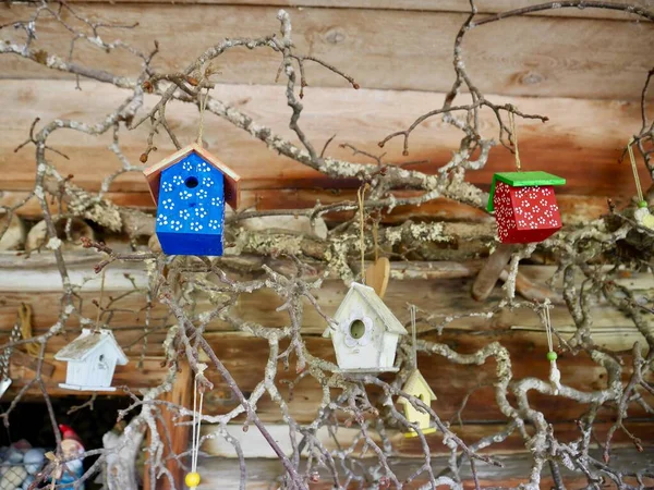Kolorowe Domki Dla Ptaków Wiszące Gałęzi Drzewa Tradycyjnym Gospodarstwie Wysokiej — Zdjęcie stockowe