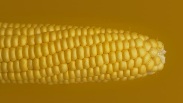 Кукурудза Переміщення Зернових Культур Обертається Крупним Планом Попкорн — стокове відео