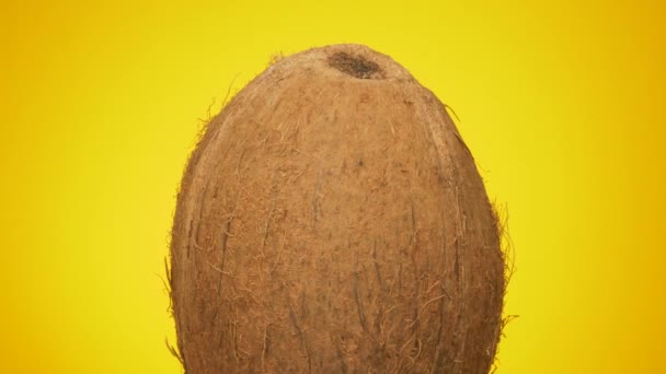 Kokosnuss Coco Nut Nahaufnahme Hintergrund Isolierte Frische Exotische Früchte Palmöl — Stockvideo
