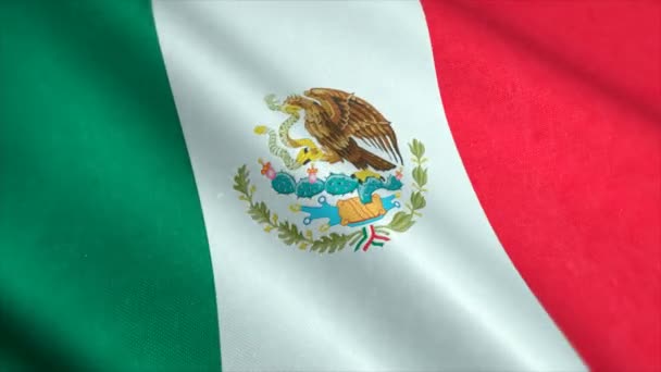 Stockfootage National Flag Mexico Animated Mexican Country Flag Windy Flag — Stockvideo