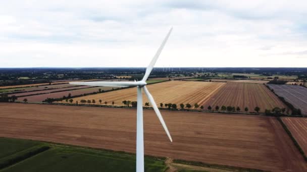 Energía Alternativa Verde Sostenible Con Parque Eólico Ecológico Energía Renovable — Vídeo de stock