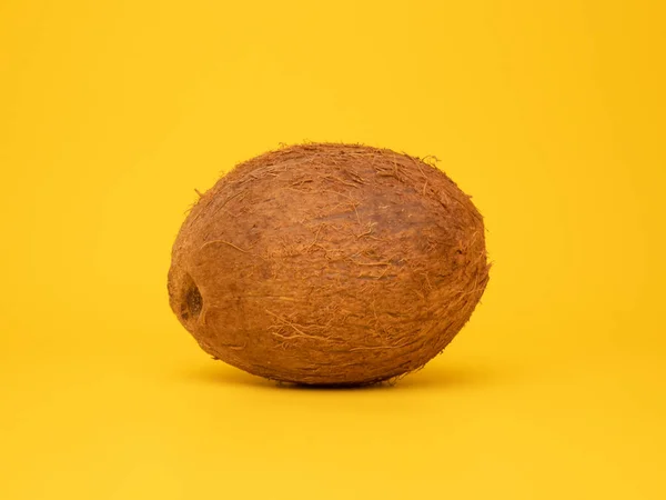 Kokosnoot Coco Nut Close Achtergrond Geïsoleerd Vers Exotisch Fruit Palm — Stockfoto