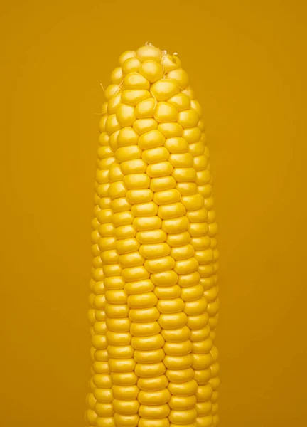 Mısır Mahsulü - çiğ mısır gevreği olgunlaşmış - sarı organik sebze arka planı - mısır koçanı - tarım arka planı organik gıda