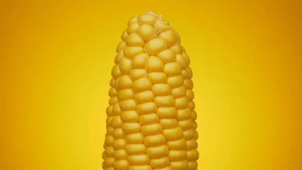 Färsk Vegetabilisk Bakgrund Vegansk Mat Gul Majs Gröda — Stockfoto