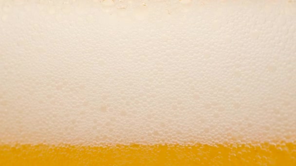 Bier Glas Schenken Van Drank Bar Fris Koud Bier Schuim — Stockvideo