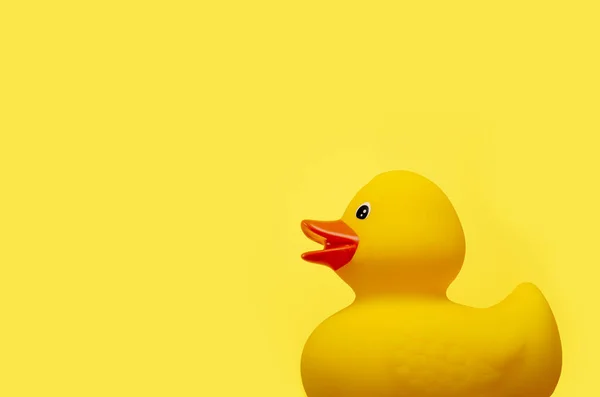 Asgari sarı arkaplan ve ördek. Fotokopi alanı olan eğlenceli bir çocukluk geçmişi kavramı. Duşta küçük ördek yavrusu.