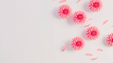 Pink blooming flowers on white background. Concept for wedding invitation background with pink floral flowers and copy space