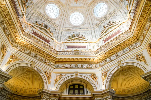 Doğal Tarih Müzesi tavanı. Avusturya, Viyana 'da güzel bir saray..