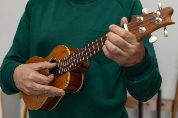 Oigenkännlig Latinamerikansk Musiker Spelar Ett Stränginstrument Ukulele Begreppsmässiga Stränginstrument — Stockfoto