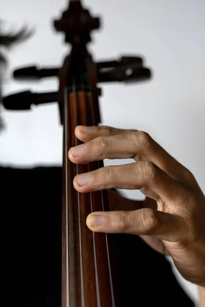 手的特写正确地放在大提琴上的第一个位置 概念管弦乐队乐器和音乐学生 — 图库照片