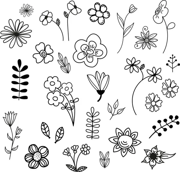 Sada Ručně Kreslených Květin Květinové Nudle — Stock fotografie
