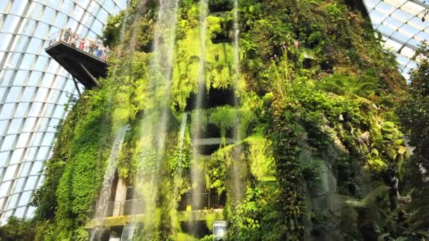 Καταρράκτης Στο Conservatory Cloud Forest Dome Στη Σιγκαπούρη Την Καλοκαιρινή — Αρχείο Βίντεο