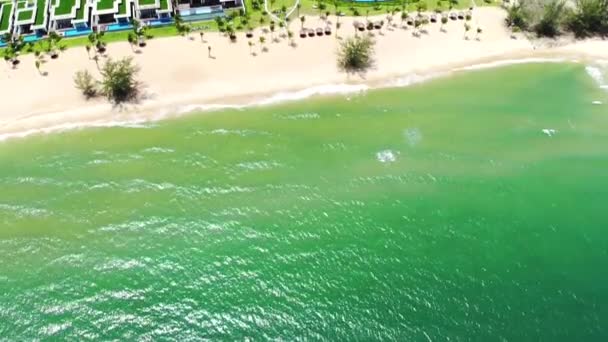 Αεροφωτογραφία Της Τροπικής Αμμώδους Παραλίας Φοίνικες Και Ήρεμη Θάλασσα Shot — Αρχείο Βίντεο