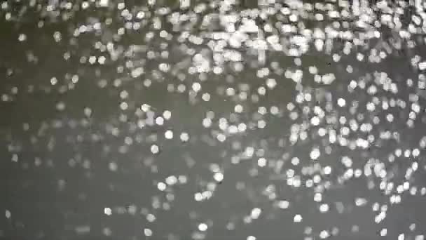 白色の粒子が輝く背景 ボケでキラキラと光る記事 — ストック動画
