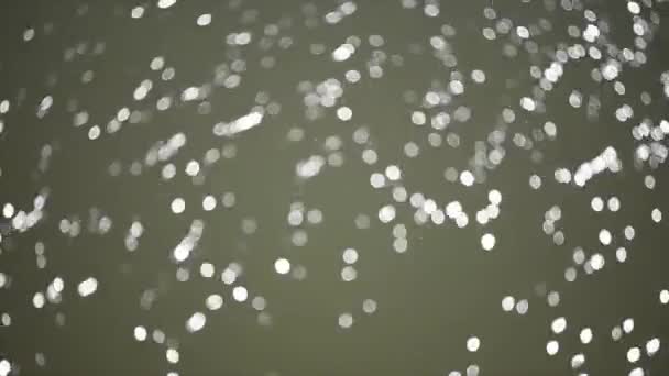 Hintergrund Glänzende Weiße Teilchen Glitzernde Teilchen Mit Bokeh — Stockvideo