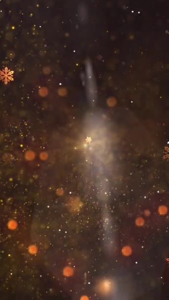 Abstract Motion Background Snowflakes New Year Christmas Background — Stock Video