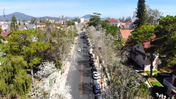 Vista Aérea Uma Grande Estrada Cidade Lat Vietnã Muitas Árvores — Vídeo de Stock