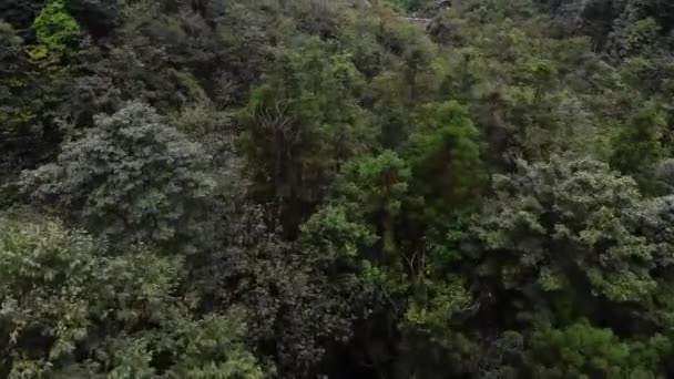 張家界武陵源国立森林公園湖南中国で雨の日に10マイルの自然ギャラリーの無人機を飛んで美しい航空ビュー 張家界市武陵源国立森林公園 Hunan China — ストック動画