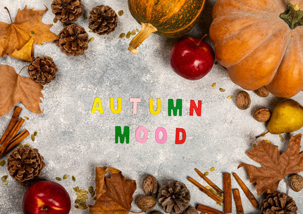 Осеннее приветствие, осенняя луна, фон рабочего стола, осенний декор на бетонном фоне, яблоки, корица, тыква, орехи, конусы