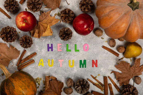 autumn greeting, autumn moon, desktop background, autumn decor on concrete background, apples, cinnamon, pumpkin, nuts, cones