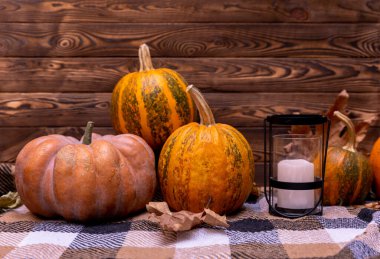 arkaplanda turuncu balkabağı, Cadılar Bayramı, sonbahar sebzeleri hasat zamanı, hasat zamanı, kopyalama alanı