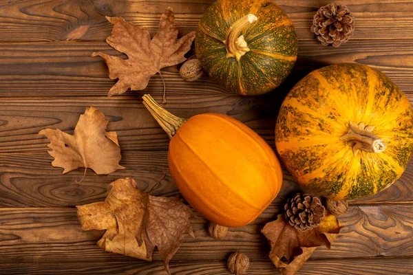Orange Pumpkin Dark Background Halloween Autumn Vegetables Harvest Harvest Time — Stock Photo, Image