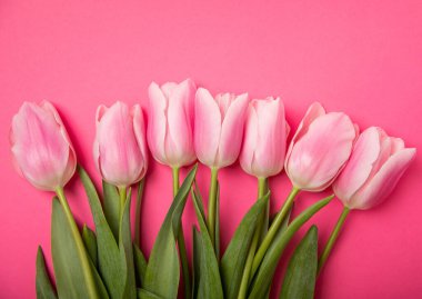 Pembe kağıt arka planda pembe laleler. Yan görüş. Bahar buketi. Tatil konsepti. Kadınlar Günü, Sevgililer Günü, Paskalya, doğum günü. Boşluğu kopyala.
