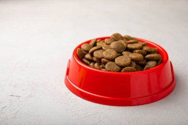 Çimento arka planında kırmızı bir kasede kurutulmuş köpek maması. Evcil hayvanların sağlığı ve enerjisi için vitaminler ve besinler. Uzayı kopyala.