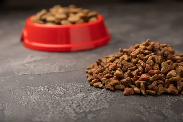 Dry food for cats on a cement background. Vitamins and nutrients for good health and energy of pets.Copy space.