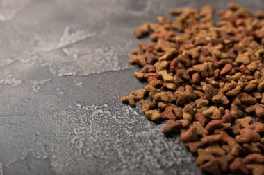 Çimento arka planında kediler için kuru yiyecek. Evcil hayvanların sağlığı ve enerjisi için vitaminler ve besinler. Uzayı kopyala.