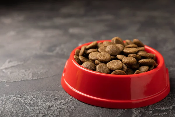 Dry dog food in a red bowl on a cement background. Vitamins and nutrients for good health and energy of pets.Copy space.
