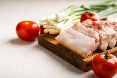 Domuz yağı, yeşil soğan, ev yapımı ekmek ve kiraz domatesli gri taşlı arka plan. Salo olsun. Lezzetli tuzlu domuz yağı ve biber. Kopya için yer var. Metin için boşluk.