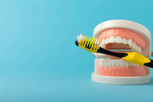青い背景に黄色の歯ブラシで入れ歯 偽の歯を持つ上顎と下顎 入れ歯や偽の歯 クローズアップ コピースペース Mockup — ストック写真