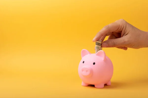 Piggy bank with dollars on a yellow background. A woman's hand puts money in a piggy bank. Money accumulation concept. Saving currency. Investments. Copy space. Close-up.