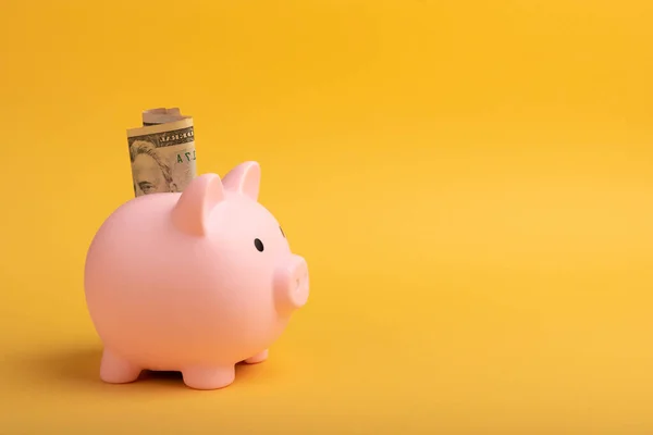 Piggy bank with dollars on a yellow background. Money saving concept. currency savings. Copyright. close-up.