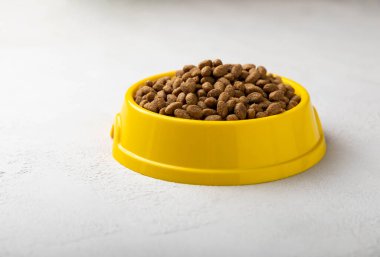 Çimento arka planında sarı bir kâsede kuru kedi maması. Evcil hayvanların sağlığı ve enerjisi için vitaminler ve besinler. Uzayı kopyala.